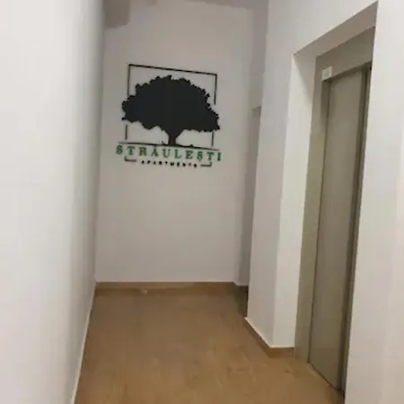 Апартаменты Nicho 2 Bucurestii Noi